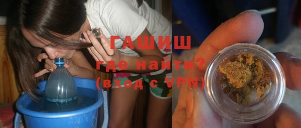 индика Абаза