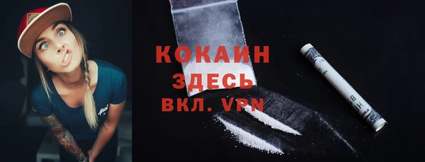 индика Абаза