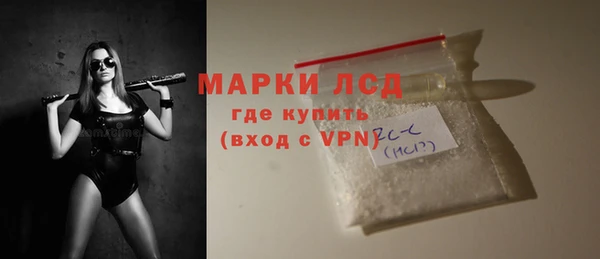 индика Абаза