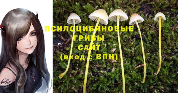 метадон Абинск