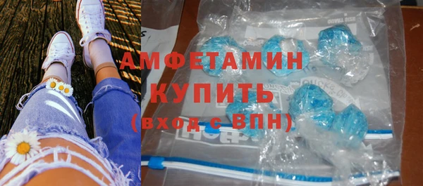 индика Абаза
