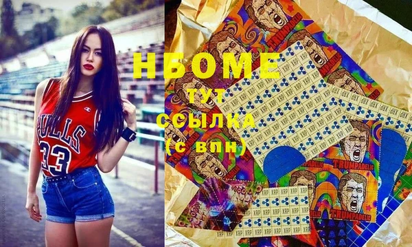 индика Абаза
