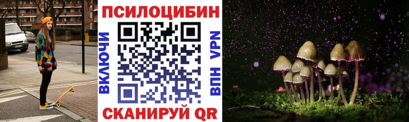 мега как зайти  Абдулино  Псилоцибиновые грибы Psilocybine cubensis  купить  цена 
